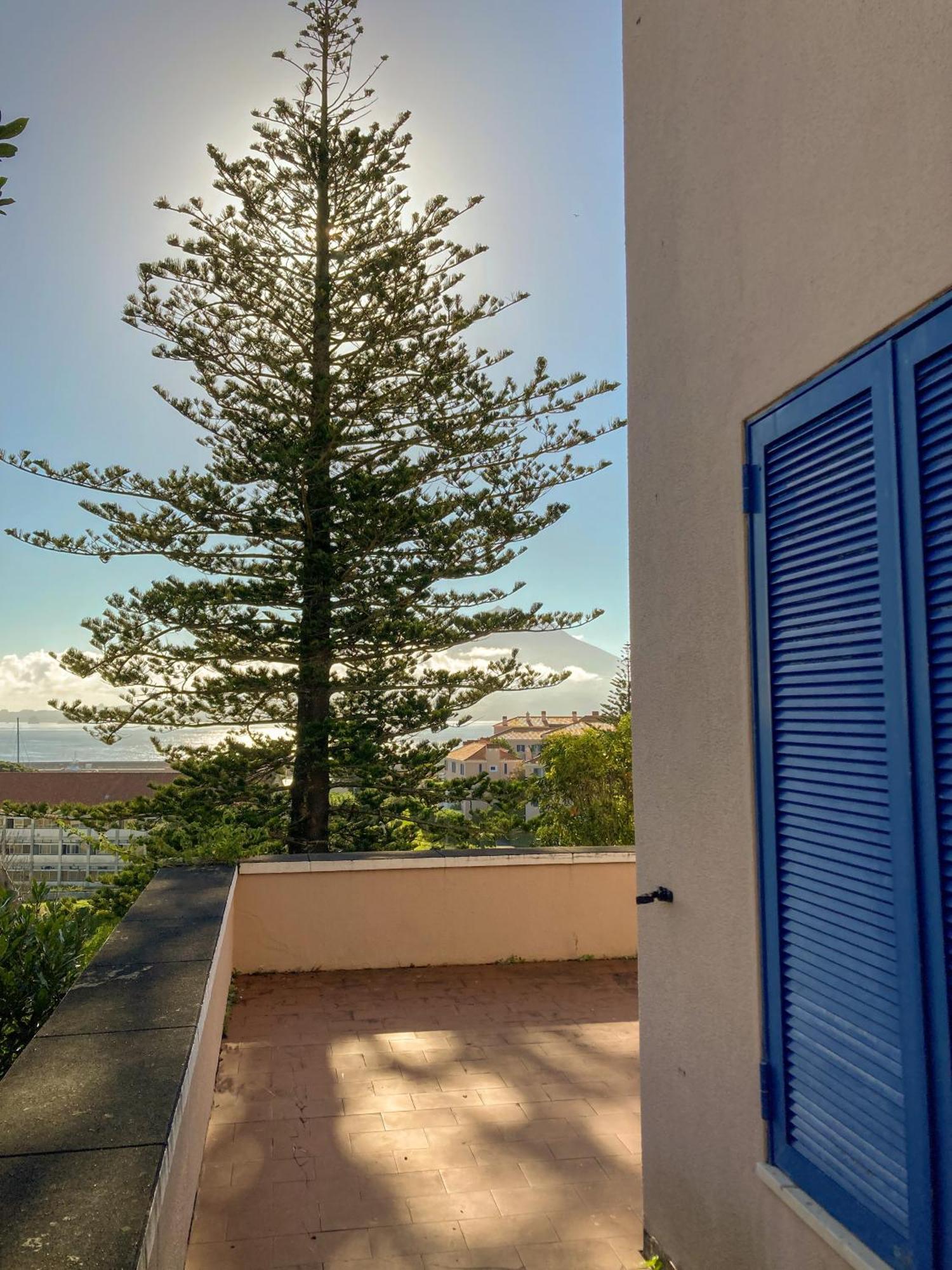Garden's Nest - North Guest house