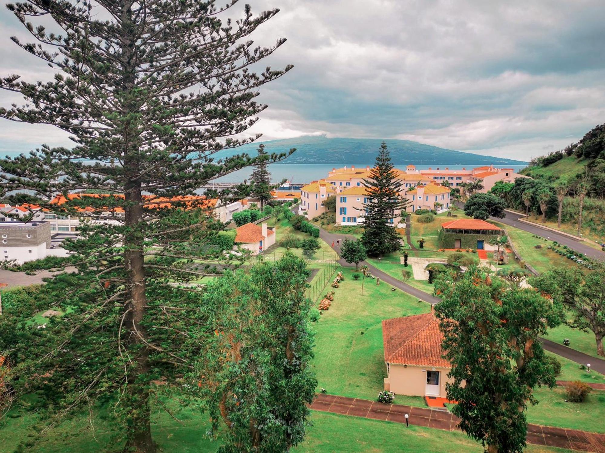 Garden's Nest - North * Conceicao (Faial)